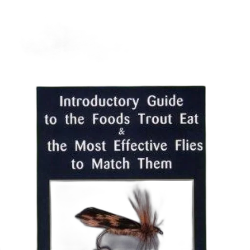 food, creature, hat, animal transparent PNG cut-out