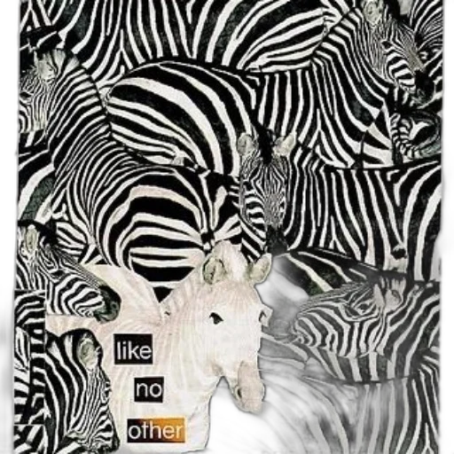 animal, creature, monochrome, black transparent PNG cut-out