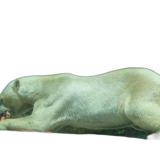 animal, creature, staff, bottle transparent PNG cut-out