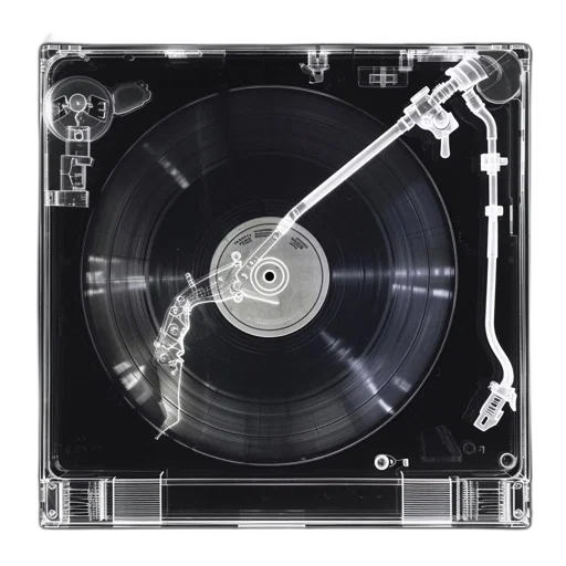 x-ray, image, reveals, internal transparent PNG cut-out