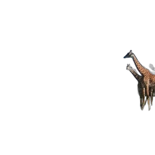 animal, creature, staff, weapon transparent PNG cut-out