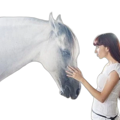 animal, photorealistic, woman, white transparent PNG cut-out