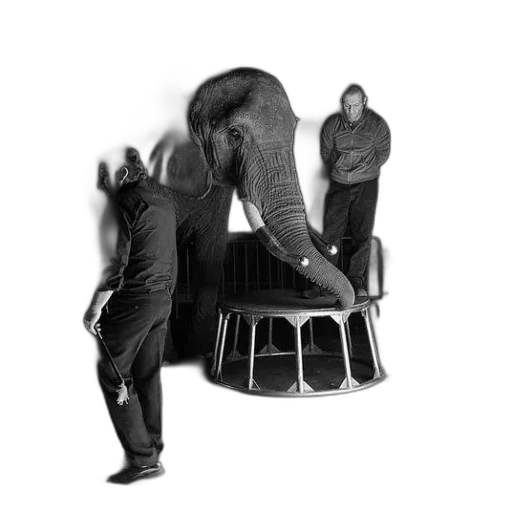 furniture, animal, staff, jacket transparent PNG cut-out