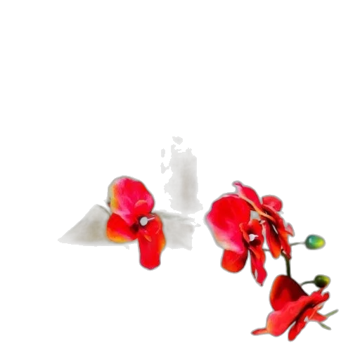 crown, flower, food, bottle transparent PNG cut-out