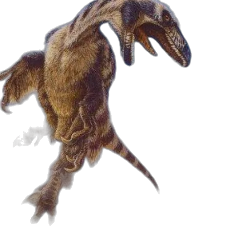 dragon, creature, animal, staff transparent PNG cut-out