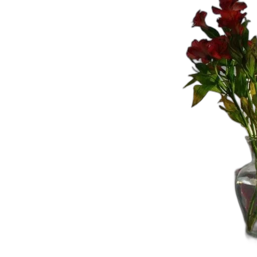 flower, crown, staff, bottle transparent PNG cut-out