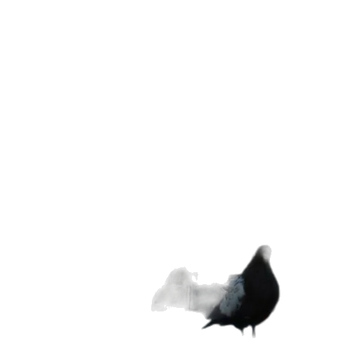 animal, dress, creature, food transparent PNG cut-out