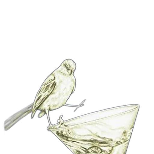 jewelry, bottle, crown, food transparent PNG cut-out