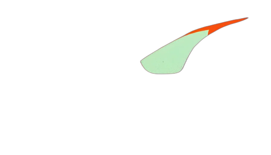 umbrella, weapon, sword, staff transparent PNG cut-out