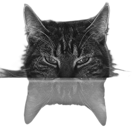 crown, animal, staff, face transparent PNG cut-out