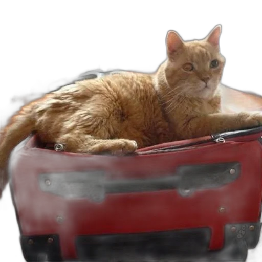 animal, car, furniture, robot transparent PNG cut-out