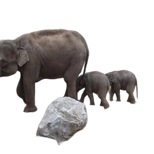 animal, 3d render, concept art, photorealistic transparent PNG cut-out