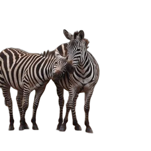 animal, creature, furniture, jewelry transparent PNG cut-out