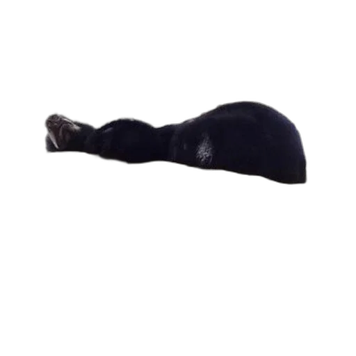 hat, mask, hair, furniture transparent PNG cut-out