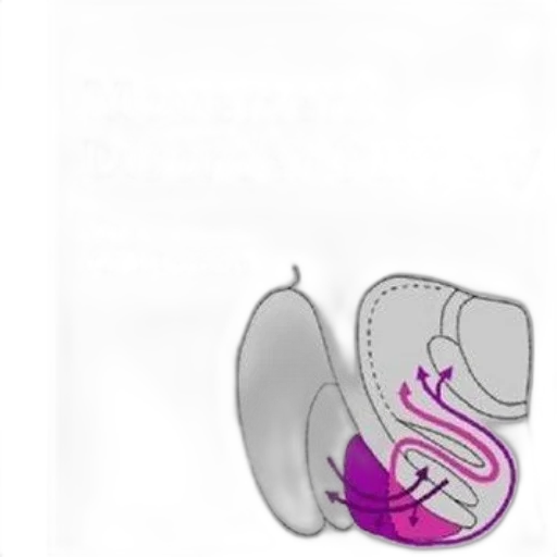 jewelry, crown, shoes, furniture transparent PNG cut-out
