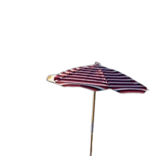 umbrella, hat, staff, flower transparent PNG cut-out