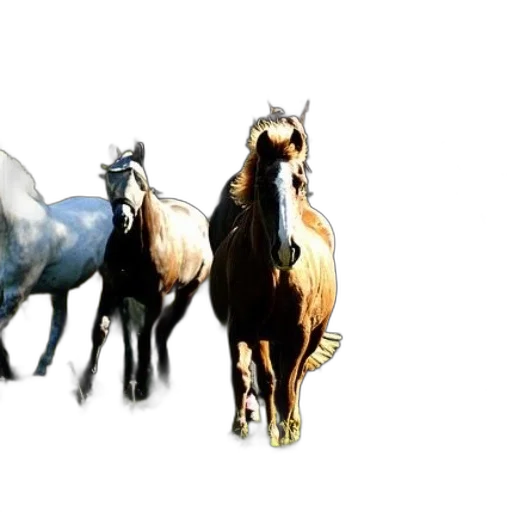 animal, photorealistic, 3d render, concept art transparent PNG cut-out