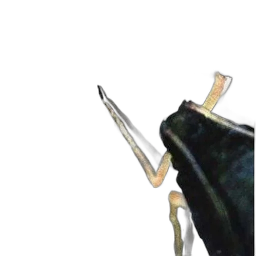 weapon, staff, umbrella, animal transparent PNG cut-out