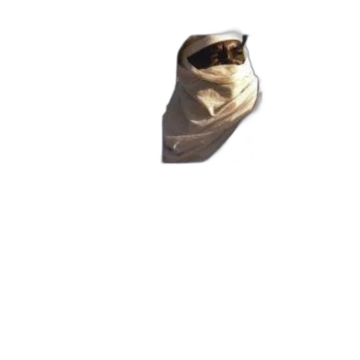 mask, face, creature, animal transparent PNG cut-out