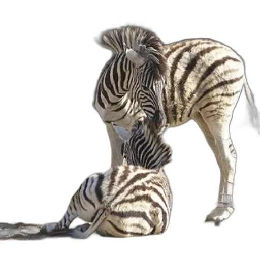 animal, creature, 3d render, concept art transparent PNG cut-out