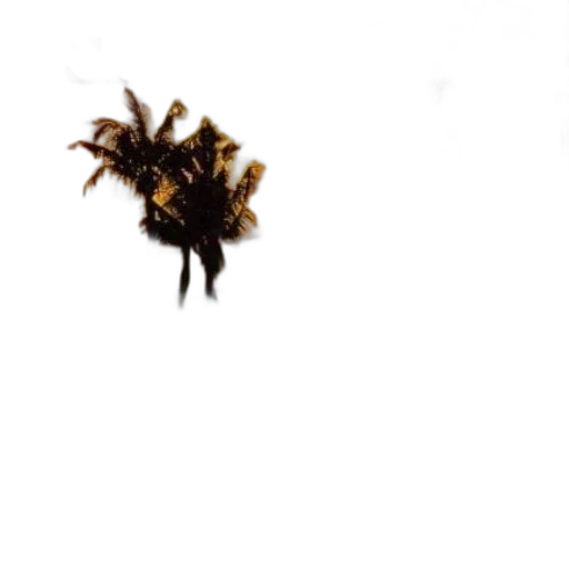 animal, creature, hair, crown transparent PNG cut-out