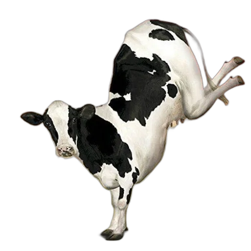 animal, food, creature, robot transparent PNG cut-out