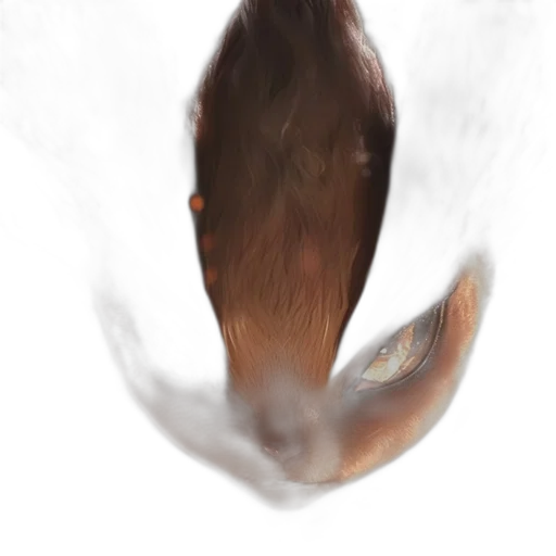 animal, dragon, creature, face transparent PNG cut-out