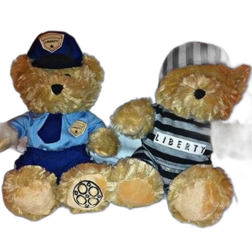 two, teddy, bears, sit transparent PNG cut-out
