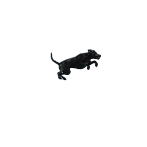 animal, dragon, creature, staff transparent PNG cut-out