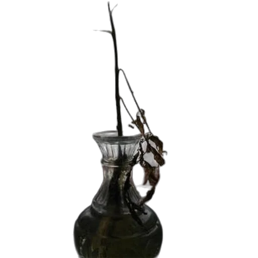 staff, weapon, crown, jewelry transparent PNG cut-out