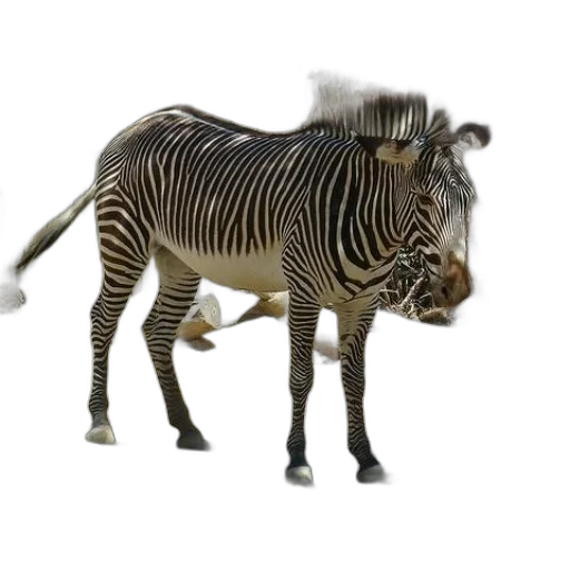 animal, creature, weapon, staff transparent PNG cut-out