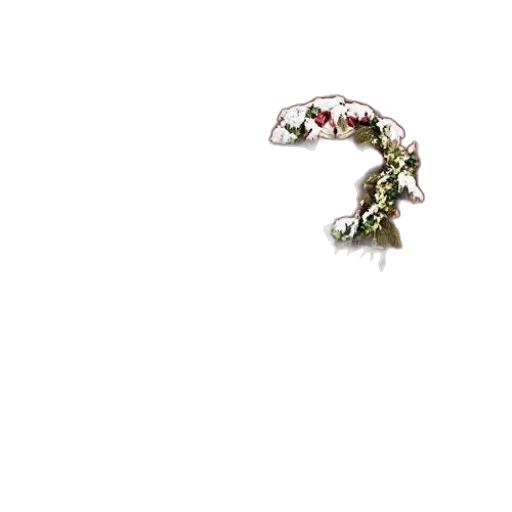jewelry, crown, flower, staff transparent PNG cut-out
