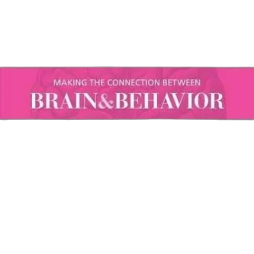 making, connection, between, brain transparent PNG cut-out