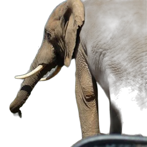 animal, creature, staff, weapon transparent PNG cut-out