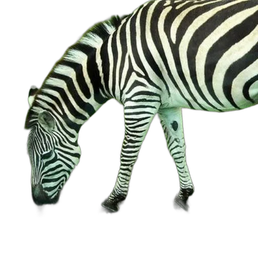 animal, creature, staff, jewelry transparent PNG cut-out