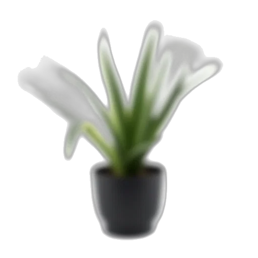 flower, crown, hat, staff transparent PNG cut-out