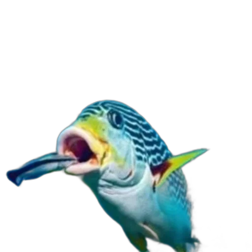 animal, staff, creature, jewelry transparent PNG cut-out