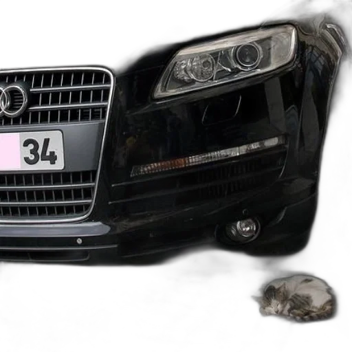 car, animal, weapon, shoes transparent PNG cut-out