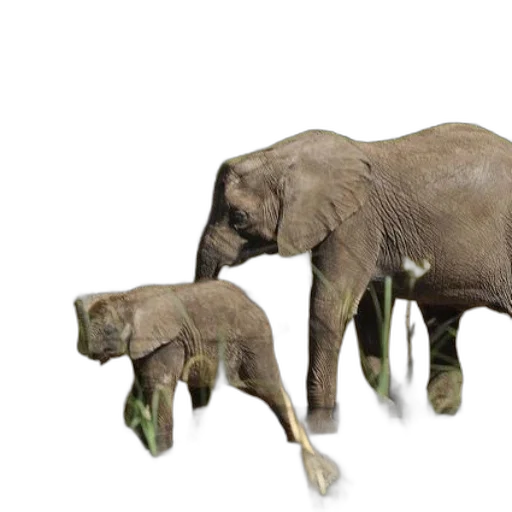 animal, creature, 3d render, concept art transparent PNG cut-out