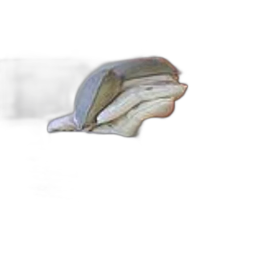 hat, shoes, food, hair transparent PNG cut-out