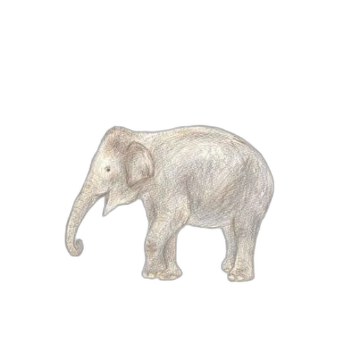 animal, creature, jewelry, staff transparent PNG cut-out