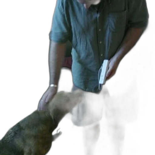animal, creature, staff, weapon transparent PNG cut-out