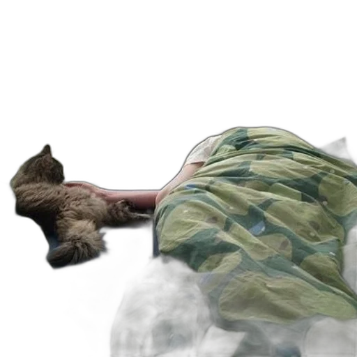 creature, animal, dress, hair transparent PNG cut-out
