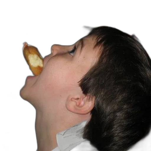 food, face, creature, animal transparent PNG cut-out