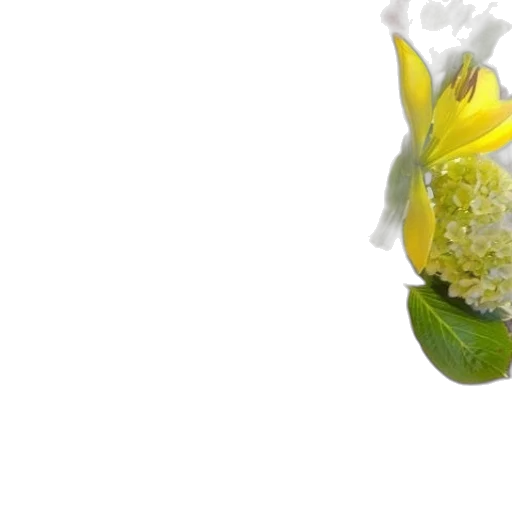 flower, staff, crown, food transparent PNG cut-out