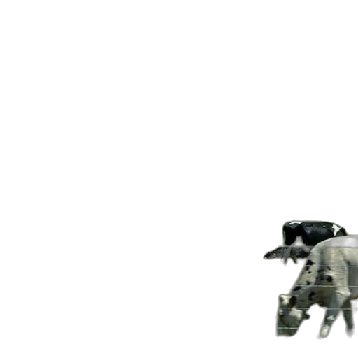 robot, animal, creature, weapon transparent PNG cut-out