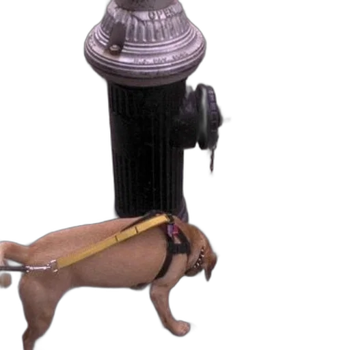 staff, animal, umbrella, bottle transparent PNG cut-out