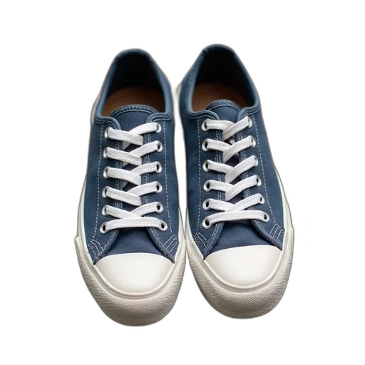 shoes, photorealistic, 3d render, blue transparent PNG cut-out