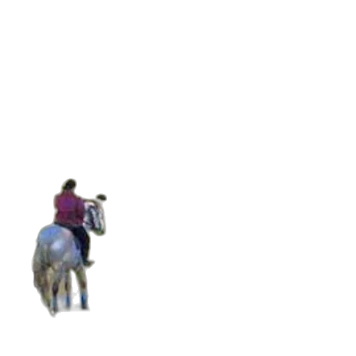 animal, staff, weapon, car transparent PNG cut-out