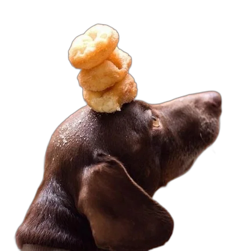 food, hat, crown, staff transparent PNG cut-out